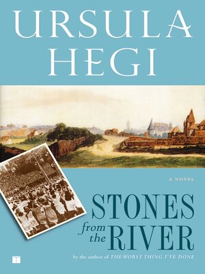 cover image of Stones from the River